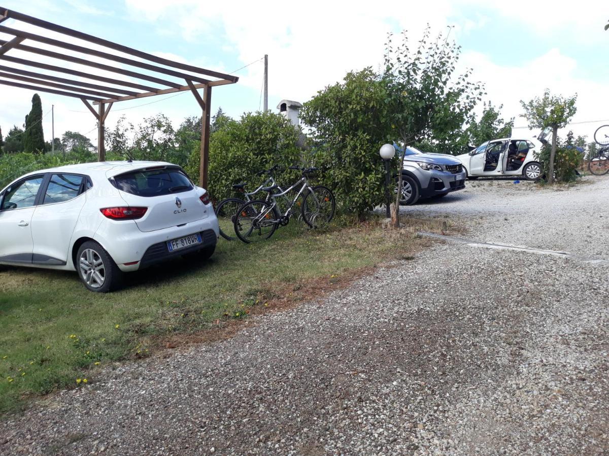 Costalpino Agriturismo Podere Camollia מראה חיצוני תמונה