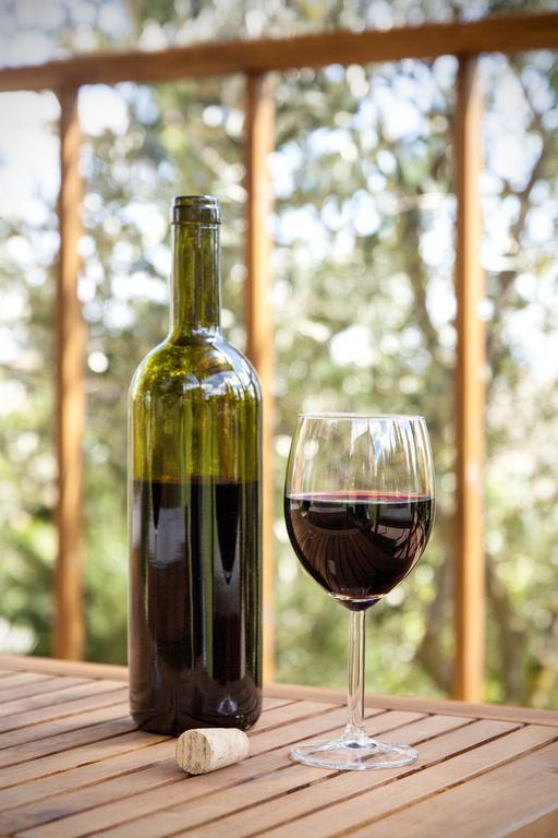 Costalpino Agriturismo Podere Camollia מראה חיצוני תמונה